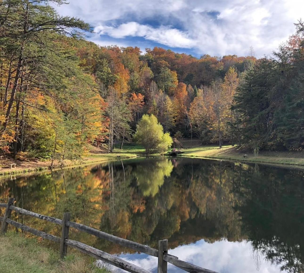 Yoli Bear Hideaway Sevierville Exterior foto