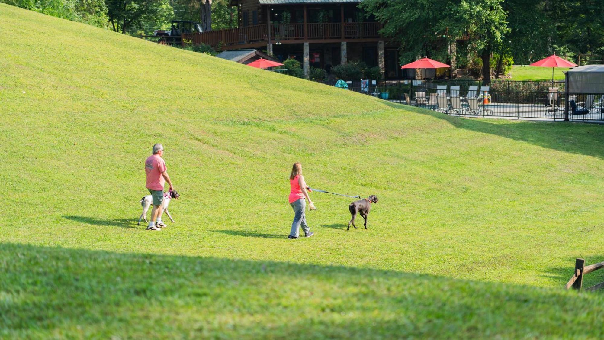 Yoli Bear Hideaway Sevierville Exterior foto