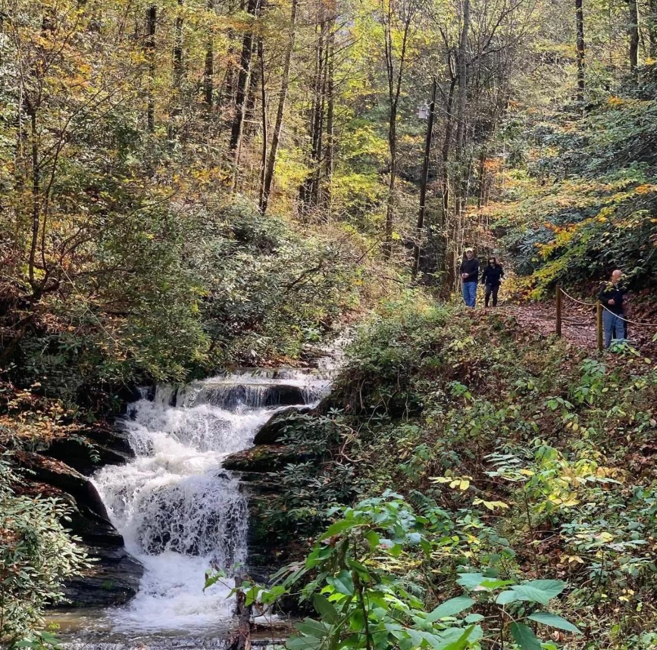 Yoli Bear Hideaway Sevierville Exterior foto