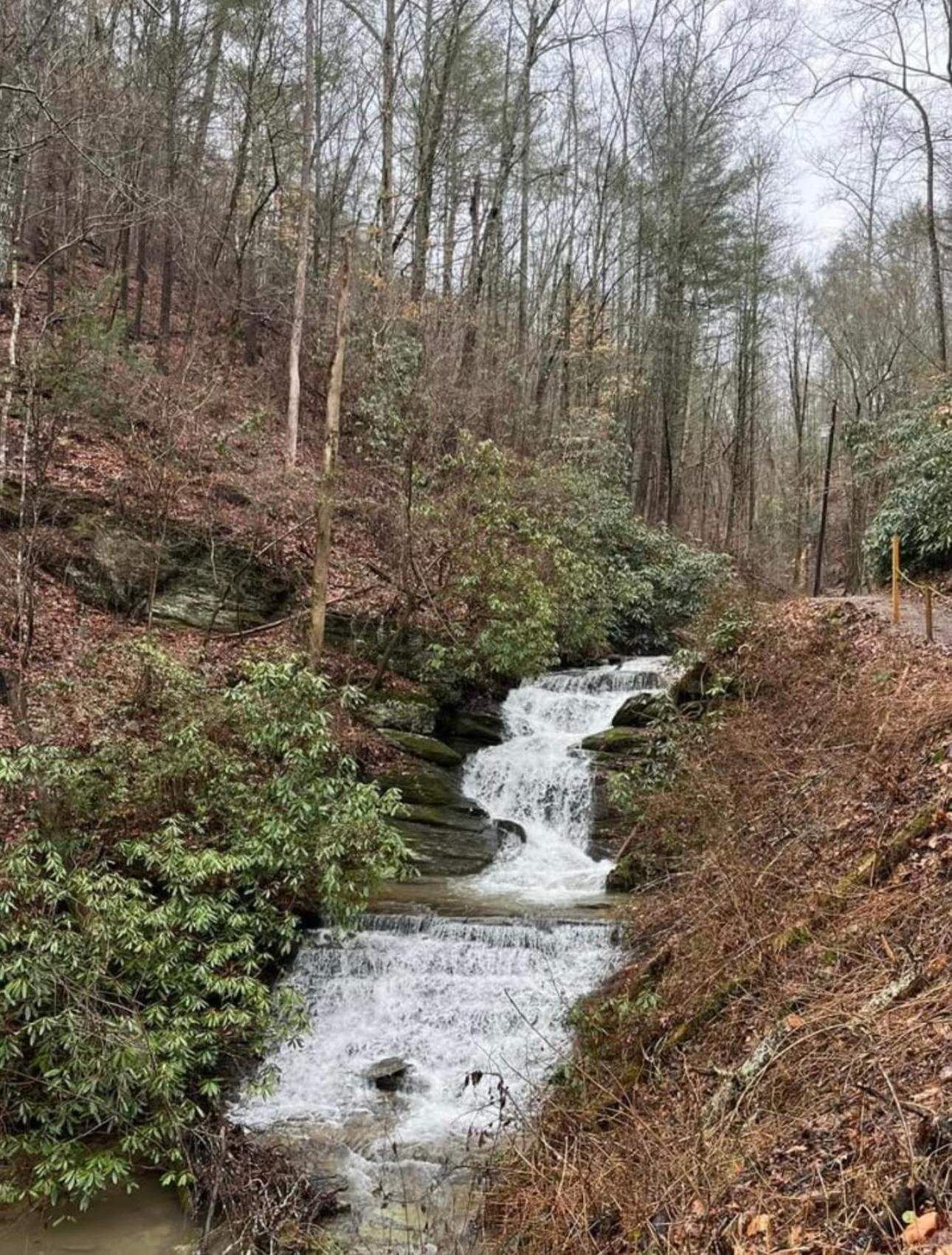 Yoli Bear Hideaway Sevierville Exterior foto