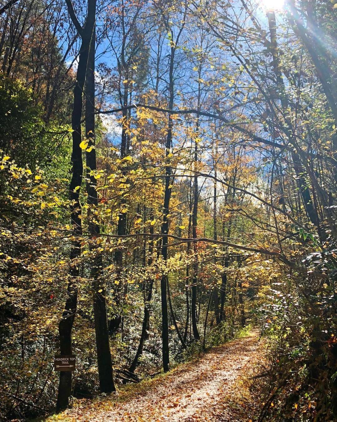 Yoli Bear Hideaway Sevierville Exterior foto